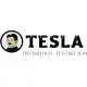 Tesla, Россия
